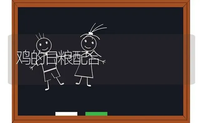 鸡的日粮配合 | 家禽养殖