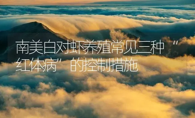 南美白对虾养殖常见三种“红体病”的控制措施 | 海水养殖