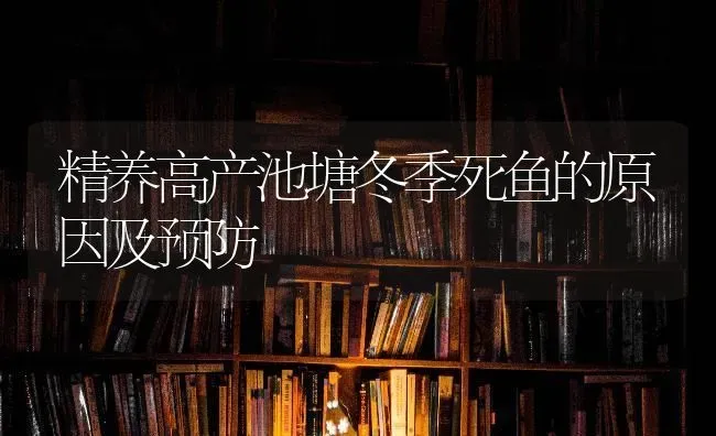 精养高产池塘冬季死鱼的原因及预防 | 淡水养殖