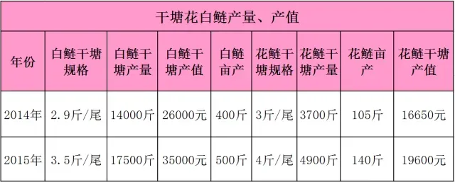 肥水使用藻源素 花鲢白鲢增产真迅速