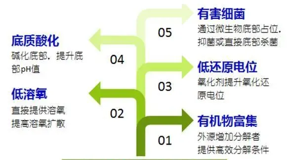 水产养殖户必问的10个问题，不信你试试