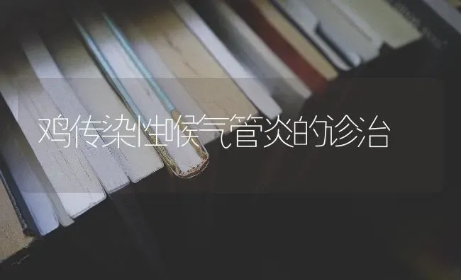 鸡传染性喉气管炎的诊治 | 家禽养殖