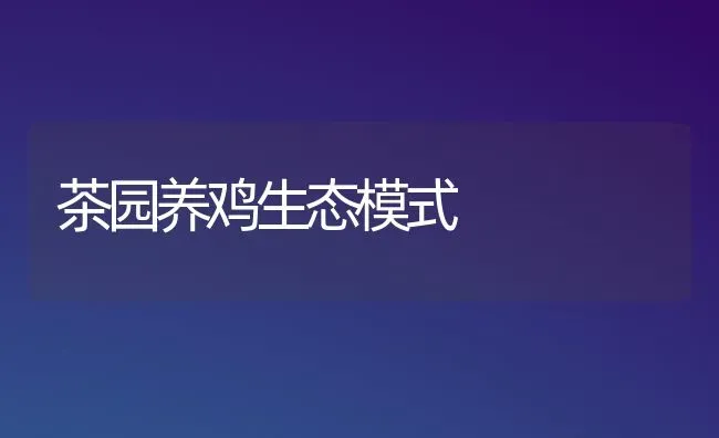 茶园养鸡生态模式 | 家禽养殖