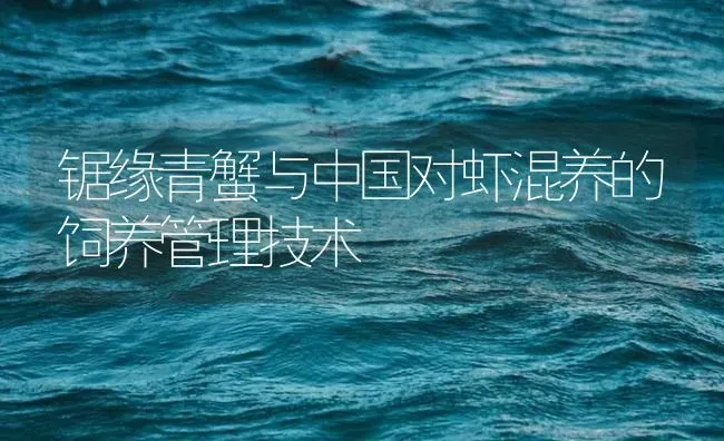 锯缘青蟹与中国对虾混养的饲养管理技术 | 海水养殖