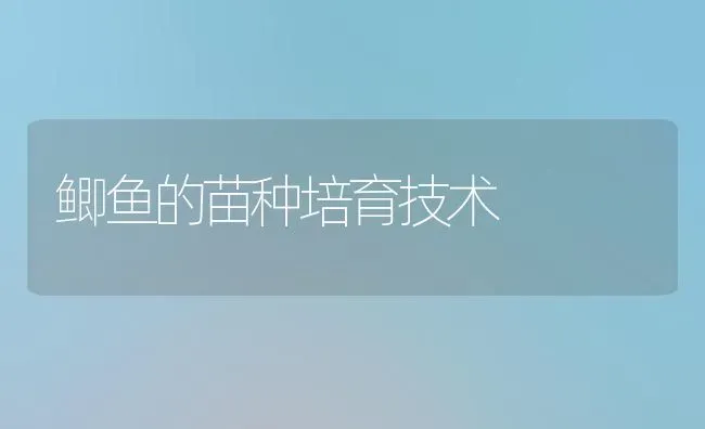 鲫鱼的苗种培育技术 | 淡水养殖