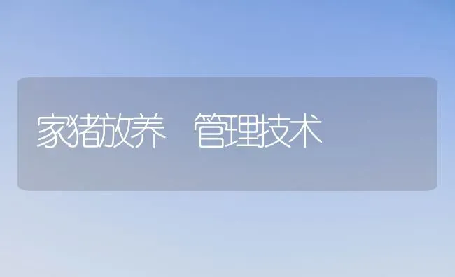 家猪放养 管理技术 | 家畜养殖