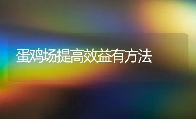 蛋鸡场提高效益有方法 | 家禽养殖