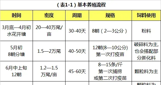 草鱼鱼种怎么养?可以看下这份超详细的养殖指南