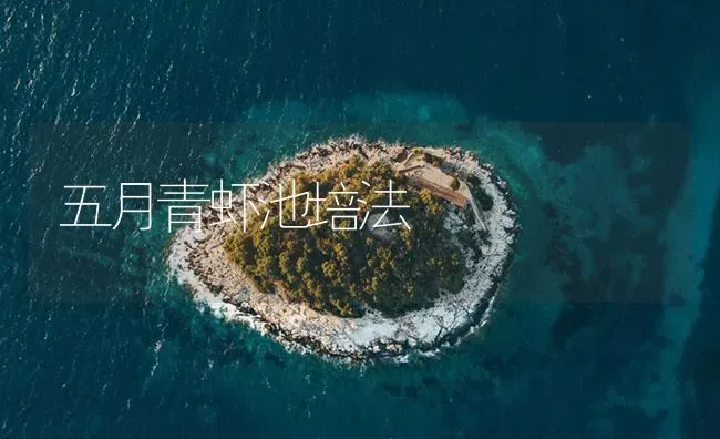 五月青虾池培法 | 海水养殖