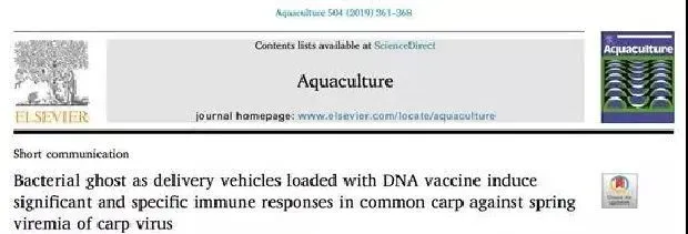 论文解读：Aquaculture，鲤春病毒DNA疫苗