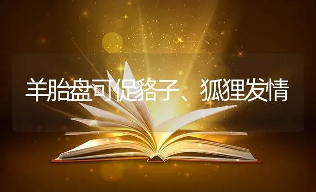 羊胎盘可促貉子、狐狸发情 | 家畜养殖