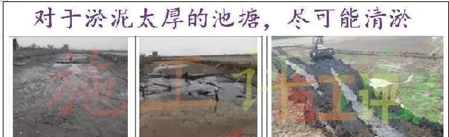 池塘老化了，对虾养殖户如何抓住歇塘期，踏实做好池塘修复工作？