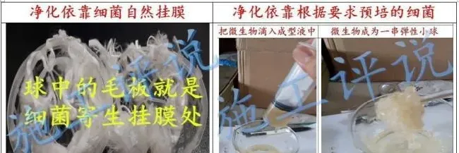 微生物在水产养殖过程中的创新想法分享的后续：关于固定微生物交流