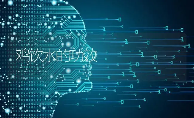 鸡饮水的功效 | 家禽养殖