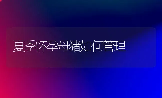 夏季怀孕母猪如何管理 | 家畜养殖