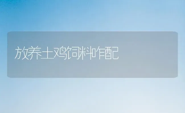放养土鸡饲料咋配 | 家禽养殖