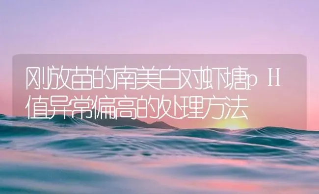 刚放苗的南美白对虾塘pH值异常偏高的处理方法 | 海水养殖