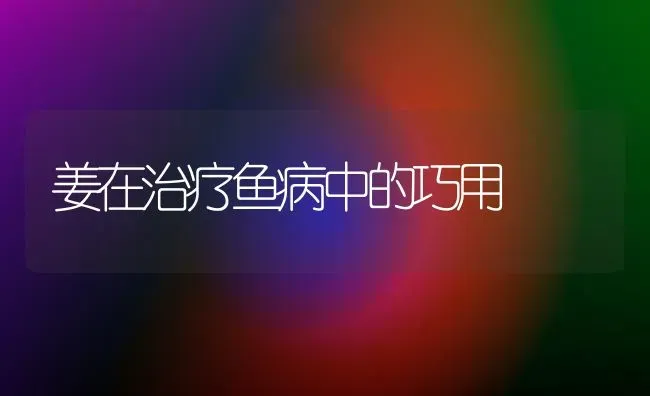 姜在治疗鱼病中的巧用 | 淡水养殖