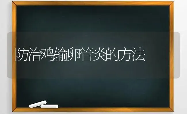 防治鸡输卵管炎的方法 | 家禽养殖