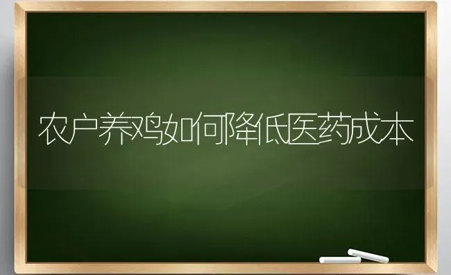 农户养鸡如何降低医药成本 | 养殖病虫害防治