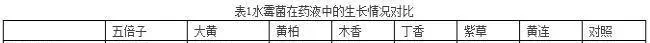 大鲵水霉病中草药治疗试验