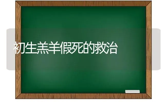 初生羔羊假死的救治 | 家畜养殖