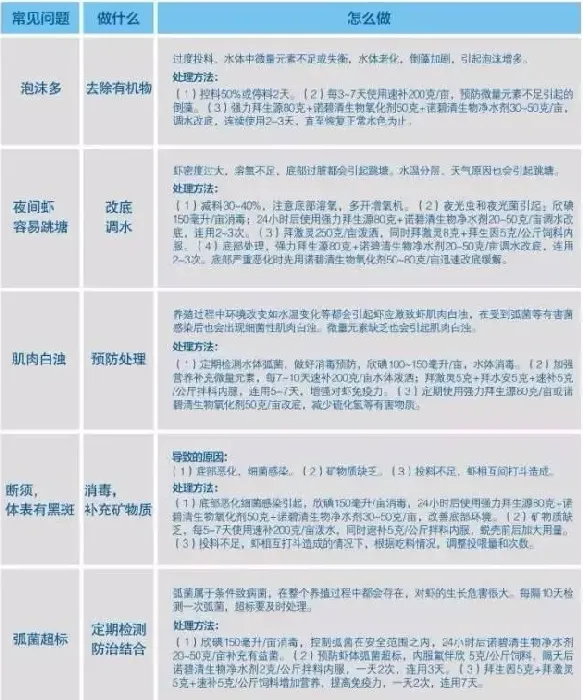 南美白对虾低盐度养殖常见问题及处理方案