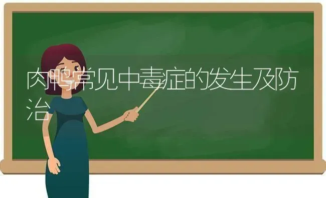 肉鸭常见中毒症的发生及防治 | 家禽养殖