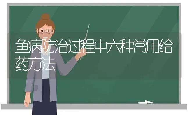 鱼病防治过程中六种常用给药方法 | 养殖病虫害防治