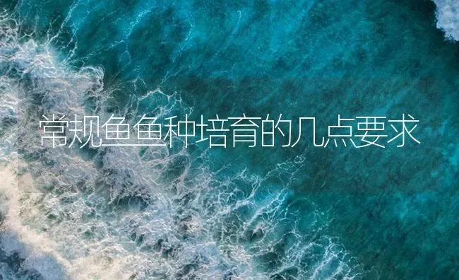 常规鱼鱼种培育的几点要求 | 淡水养殖