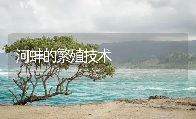 河蚌的繁殖技术 | 海水养殖