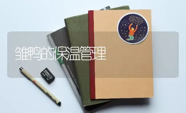 雏鸭的保温管理 | 家禽养殖