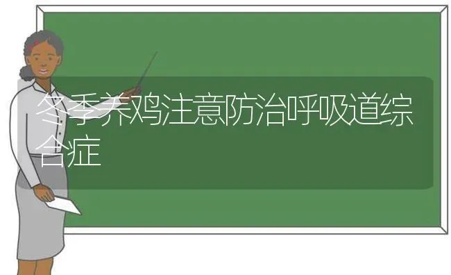 冬季养鸡注意防治呼吸道综合症 | 家禽养殖