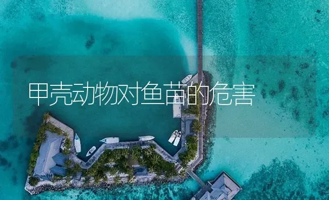 甲壳动物对鱼苗的危害 | 淡水养殖