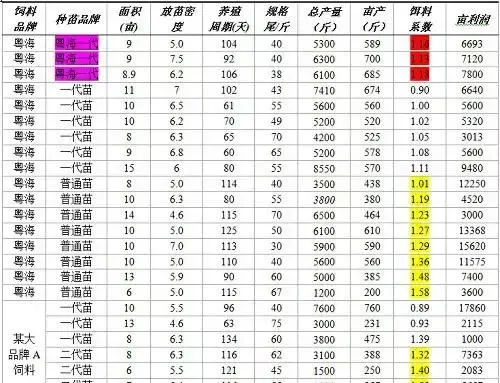 粤海一代对虾苗助力珠三角冬棚虾养殖户丰收