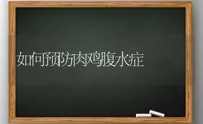 如何预防肉鸡腹水症 | 家禽养殖