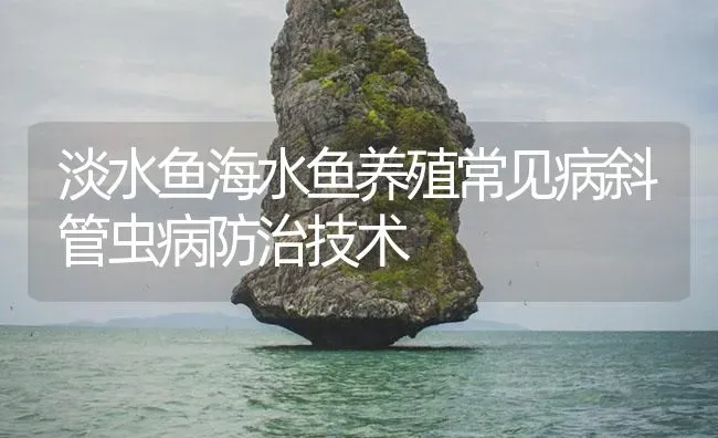 淡水鱼海水鱼养殖常见病斜管虫病防治技术 | 养殖病虫害防治