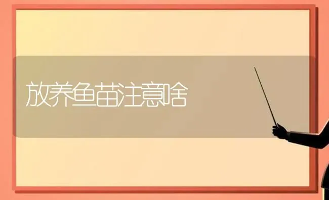 放养鱼苗注意啥 | 淡水养殖
