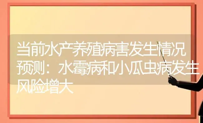 当前水产养殖病害发生情况预测：水霉病和小瓜虫病发生风险增大 | 动物养殖百科