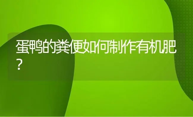 蛋鸭的粪便如何制作有机肥？ | 家禽养殖
