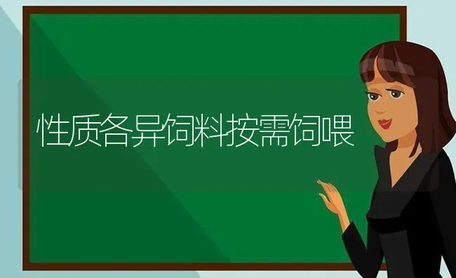 性质各异饲料按需饲喂 | 动物养殖饲料