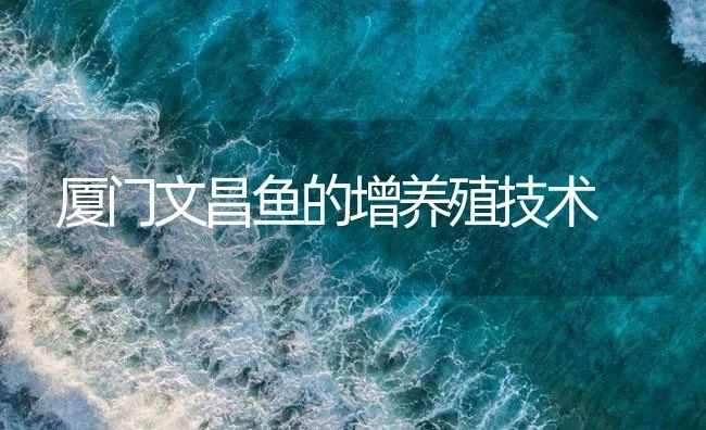 厦门文昌鱼的增养殖技术 | 海水养殖