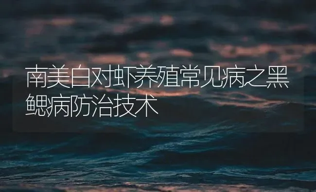 南美白对虾养殖常见病之黑鳃病防治技术 | 海水养殖