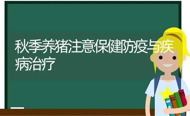 秋季养猪注意保健防疫与疾病治疗 | 家畜养殖