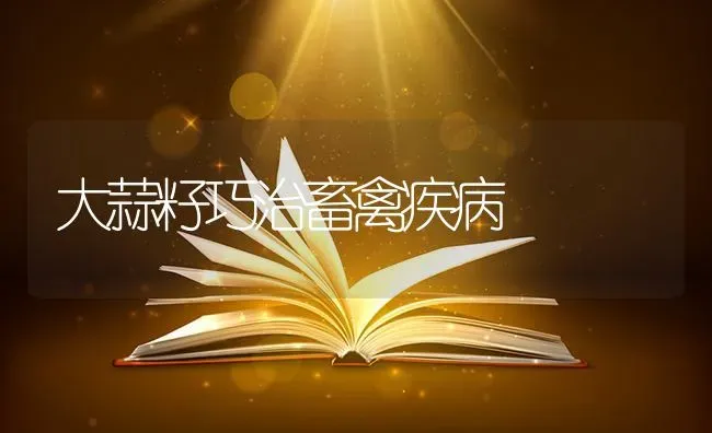 大蒜籽巧治畜禽疾病 | 家禽养殖