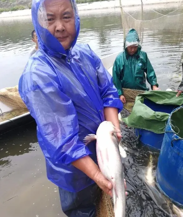 水质监测指标透明度