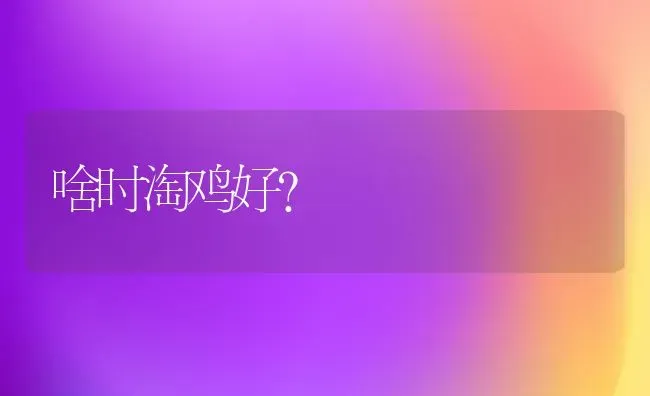 啥时淘鸡好？ | 家禽养殖