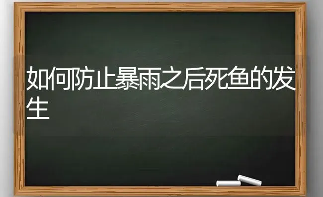 如何防止暴雨之后死鱼的发生 | 动物养殖百科