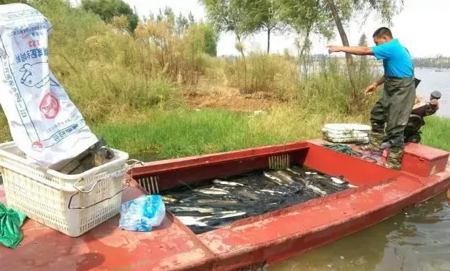 秋季卖鱼高峰，网箱养鱼户出鱼请牢记这几点