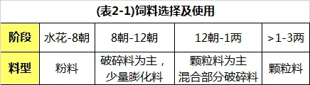 草鱼鱼种怎么养?可以看下这份超详细的养殖指南